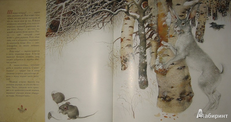 Иллюстрация 36 из 70 для Жизнь в тайге - Бренда Гиберсон | Лабиринт - книги. Источник: Трухина Ирина