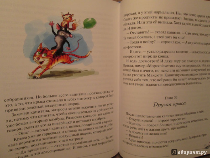 Иллюстрация 13 из 36 для Боцман, бурундук, кот и крыса - Юрий Лигун | Лабиринт - книги. Источник: pena