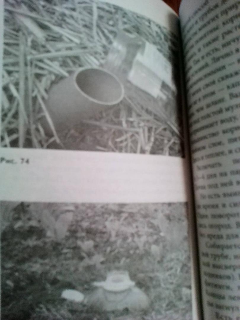 Иллюстрация 17 из 26 для Моя урожайная теплица - Николай Курдюмов | Лабиринт - книги. Источник: Лабиринт