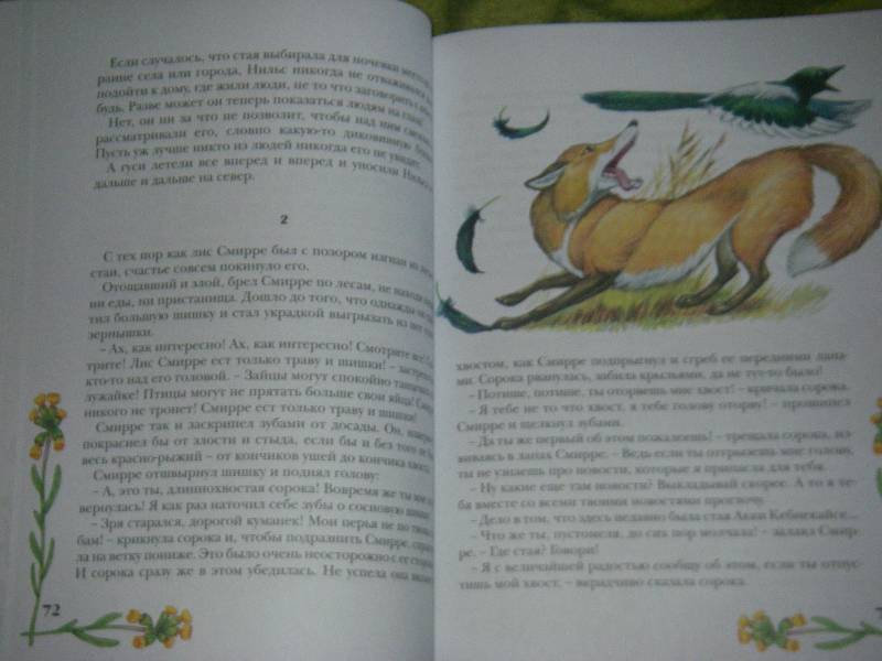 Иллюстрация 32 из 61 для Чудесное путешествие Нильса с дикими гусями - Сельма Лагерлеф | Лабиринт - книги. Источник: Ромашка:-)