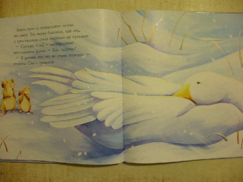 Иллюстрация 14 из 32 для Снежный ангел - Лисон, Чапмен | Лабиринт - книги. Источник: Мартынова  Анна Владимировна
