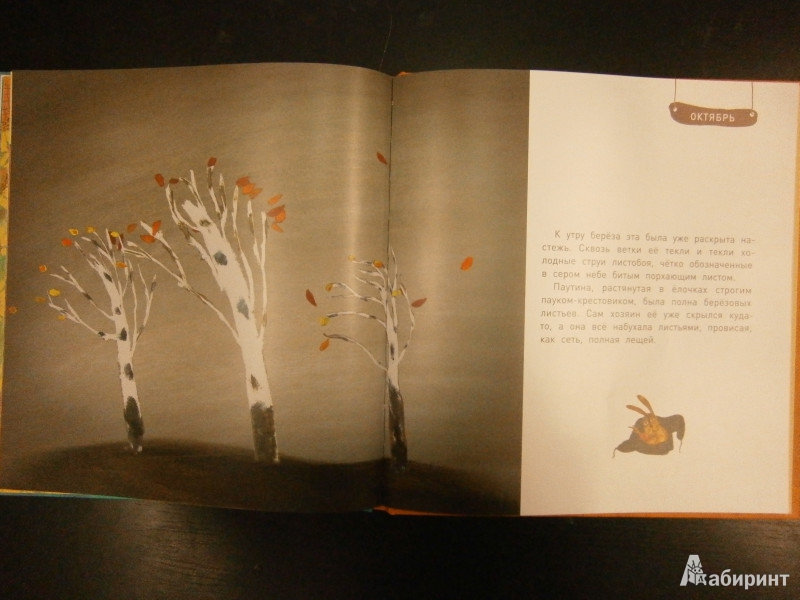 Иллюстрация 8 из 31 для Круглый год (+DVD) - Юрий Коваль | Лабиринт - книги. Источник: Maxima