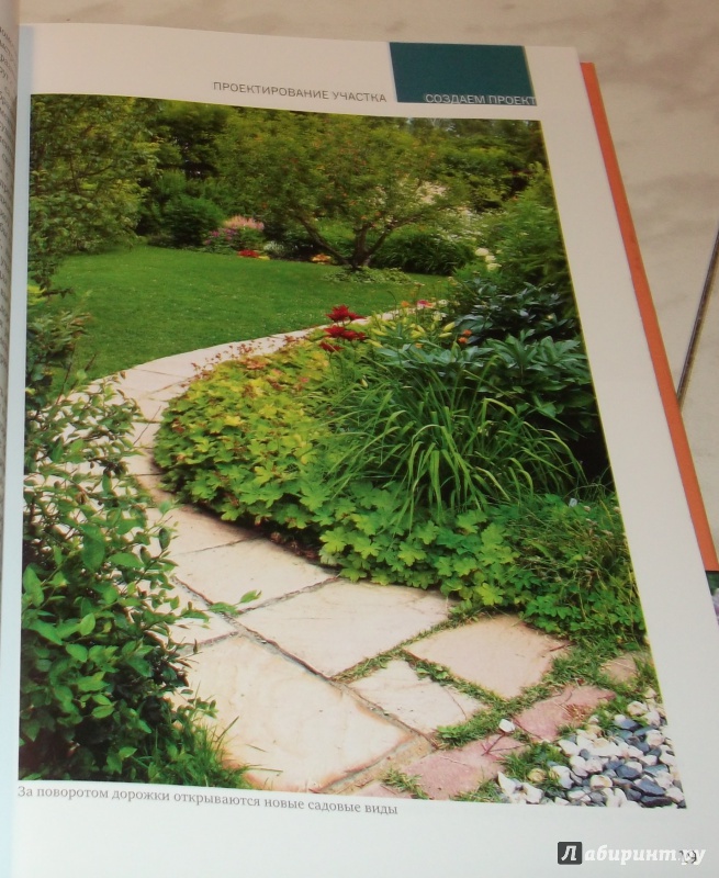 Иллюстрация 11 из 30 для Ландшафтный дизайн сада. Лучше растения и проекты. Решения для отдельных зон и небольших участков - Андрей Лысиков | Лабиринт - книги. Источник: Sakurra