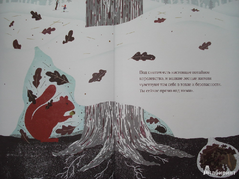 Иллюстрация 37 из 45 для На снегу и под снегом - Кейт Месснер | Лабиринт - книги. Источник: Алиса