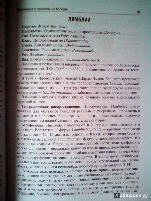 Иллюстрация 15 из 27 для Медицинская паразитология и паразитарные болезни. Протозоозы и гельминтозы. Учебное пособие - Ходжаян, Козлов, Голубева | Лабиринт - книги. Источник: D8  _