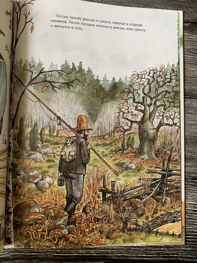 Иллюстрация 72 из 73 для Петсон грустит - Свен Нурдквист | Лабиринт - книги. Источник: K.  G