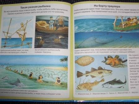 Иллюстрация 13 из 45 для Тайны моря - Мари-Рене Пимон | Лабиринт - книги. Источник: sher