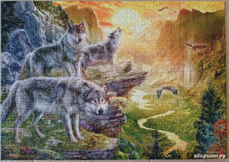 Иллюстрация 3 из 4 для Puzzle-500 "Долина волков" (B-52073) | Лабиринт - игрушки. Источник: Чудинова  Наталья Дмитриевна