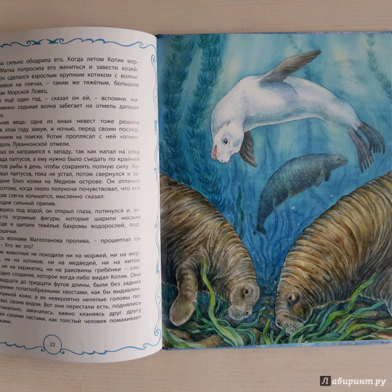 Иллюстрация 37 из 45 для Белый котик - Редьярд Киплинг | Лабиринт - книги. Источник: Федулова  Анна Алексеевна