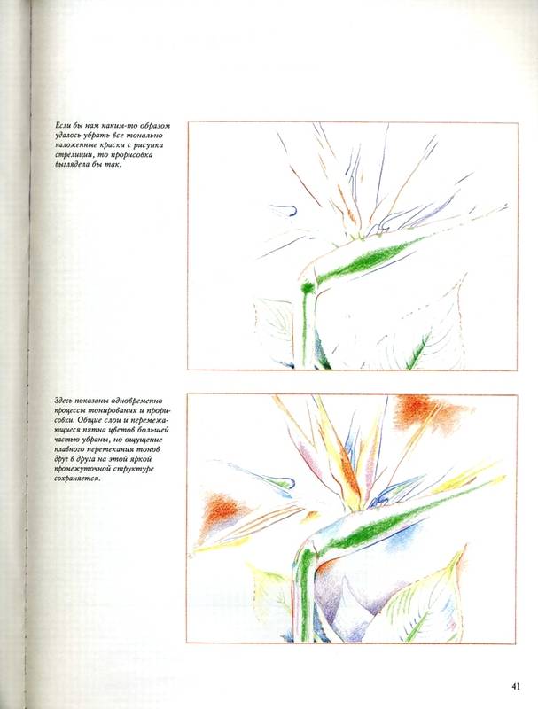 Иллюстрация 3 из 28 для Основы техники рисования цветным карандашом - Бет Боджсон | Лабиринт - книги. Источник: * Ольга *
