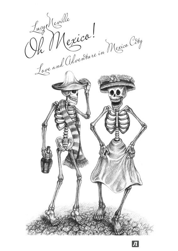 Иллюстрация 8 из 8 для О, Мексика! Любовь и приключения в Мехико - Люси Невилл | Лабиринт - книги. Источник: Светлана Кепман