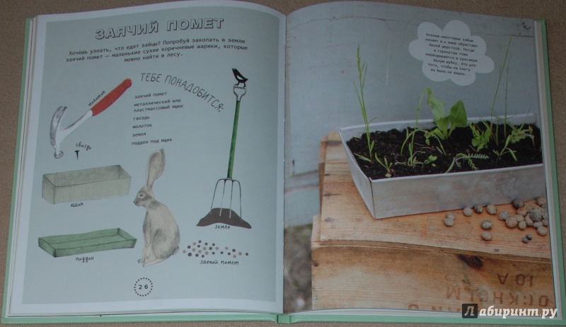 Иллюстрация 18 из 28 для Огород на подоконнике - Линдстрем, Нюберг | Лабиринт - книги. Источник: Книжный кот