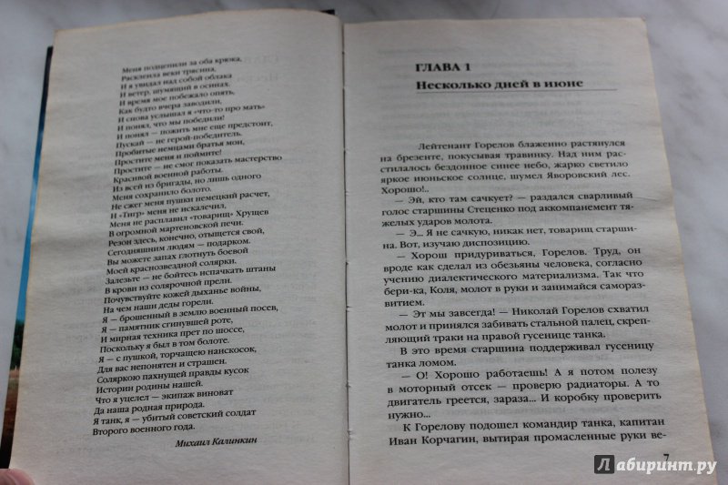 Иллюстрация 4 из 11 для Яростный поход. Танковый ад 1941 года - Георгий Савицкий | Лабиринт - книги. Источник: Полецкая  Яна