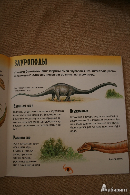 Иллюстрация 26 из 27 для Прикольный подарок. Шоу динозавров | Лабиринт - книги. Источник: Prospere