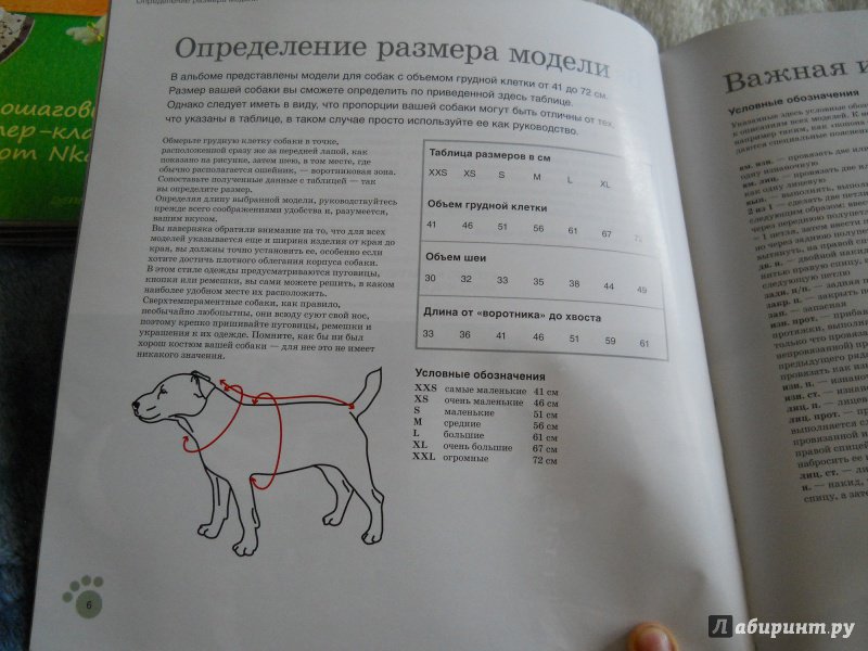 Иллюстрация 8 из 17 для Пальто, кардиганы свитера. Стильная одежда для собак - Анна Тильман | Лабиринт - книги. Источник: kosolapiki