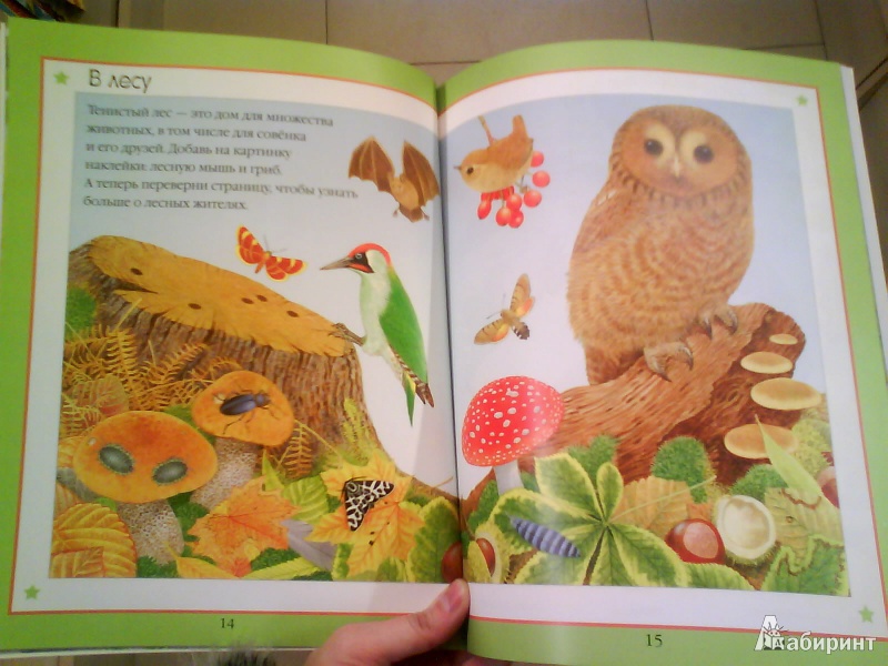Иллюстрация 5 из 32 для Чудо-наклейки. Мир природы | Лабиринт - книги. Источник: Мила
