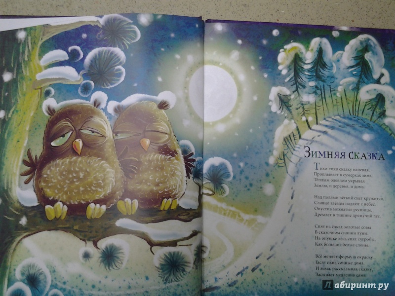 Иллюстрация 12 из 21 для Дело было в Новый год - Андрей Усачев | Лабиринт - книги. Источник: Olga