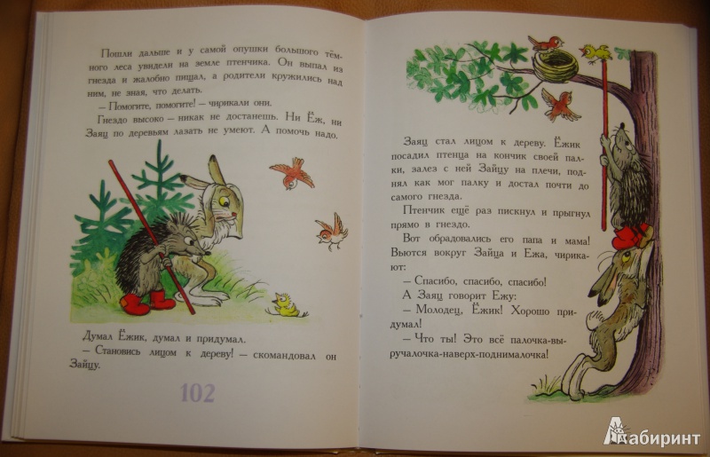 Иллюстрация 5 из 69 для Сказки и картинки - Владимир Сутеев | Лабиринт - книги. Источник: Julle
