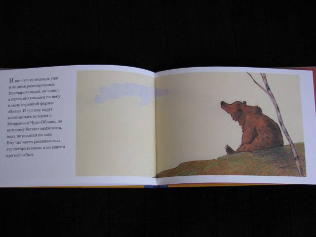 Иллюстрация 36 из 38 для Медвежье чудо - Вольф Эрльбрух | Лабиринт - книги. Источник: Nemertona