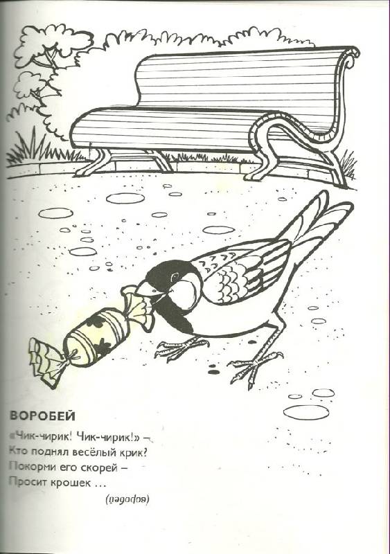 Иллюстрация 1 из 2 для Раскраски. Веселые птички - Владимир Борисов | Лабиринт - книги. Источник: Кин-дза-дза