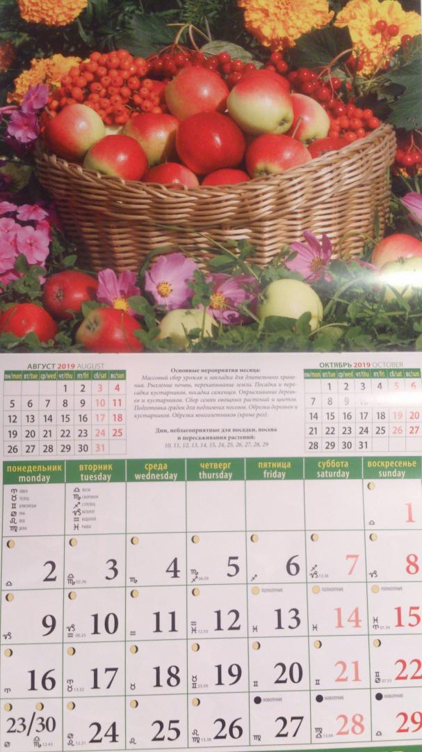 Лунный посадочный календарь на апрель 24. Осенний посадочный календарь. Лунный календарь светофор. Светофор календарь огородника на 2022 год. Календарь садовода окружающий мир.