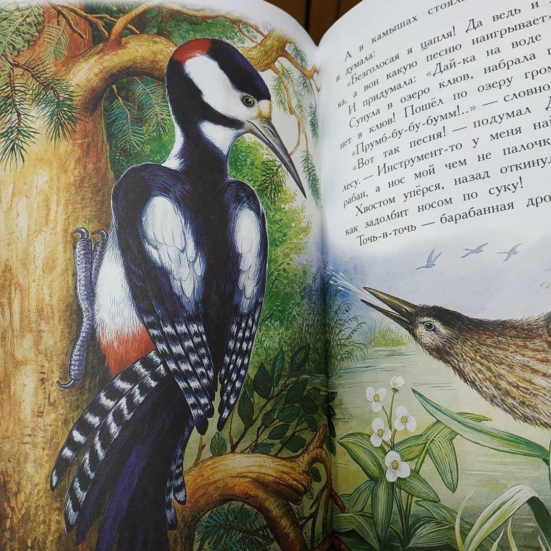 Иллюстрация 19 из 36 для Сказки для детей - Виталий Бианки | Лабиринт - книги. Источник: Отзывы читателей