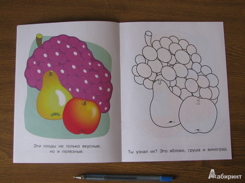 Иллюстрация 4 из 14 для Фрукты и ягоды. Малинка | Лабиринт - книги. Источник: Tulpu