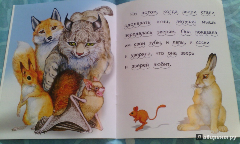 Иллюстрация 5 из 12 для Белка и волк - Лев Толстой | Лабиринт - книги. Источник: Северянка