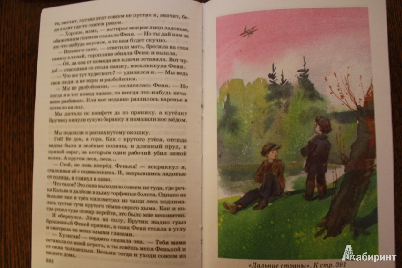 Иллюстрация 6 из 10 для Повести - Аркадий Гайдар | Лабиринт - книги. Источник: tatyanaK