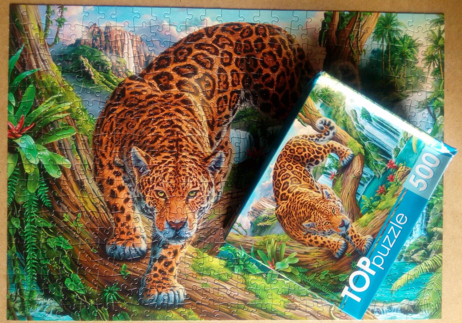 Иллюстрация 5 из 9 для TOPpuzzle-500 "Леопард у водопада" (ХТП500-6813) | Лабиринт - игрушки. Источник: Чагина  Юлия Анатольевна