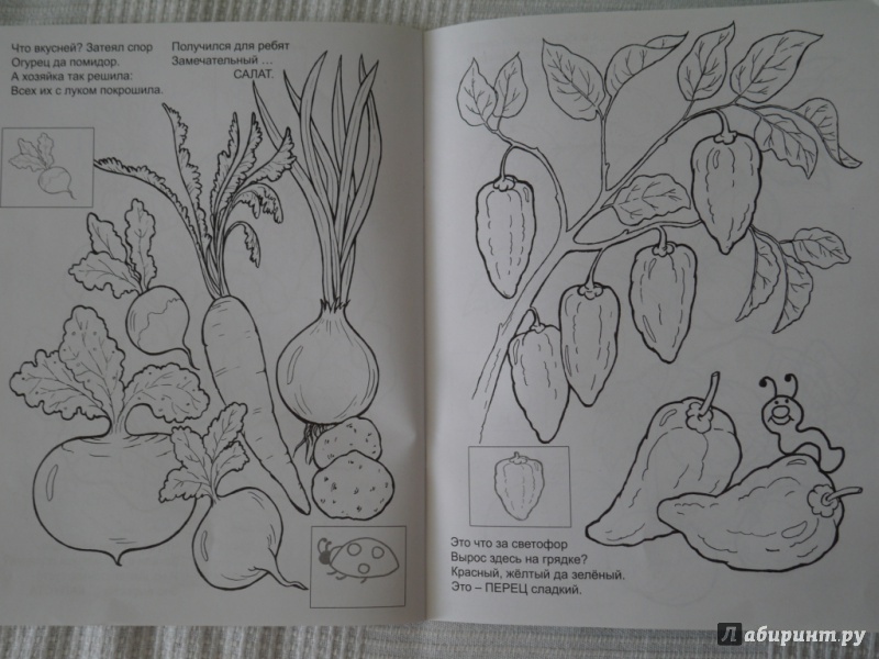 Иллюстрация 12 из 14 для Летний сад - В. Жигарев | Лабиринт - книги. Источник: Михайлова  Ирина Юрьевна