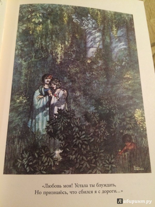 Иллюстрация 38 из 58 для Сон в летнюю ночь - Уильям Шекспир | Лабиринт - книги. Источник: Василидзе