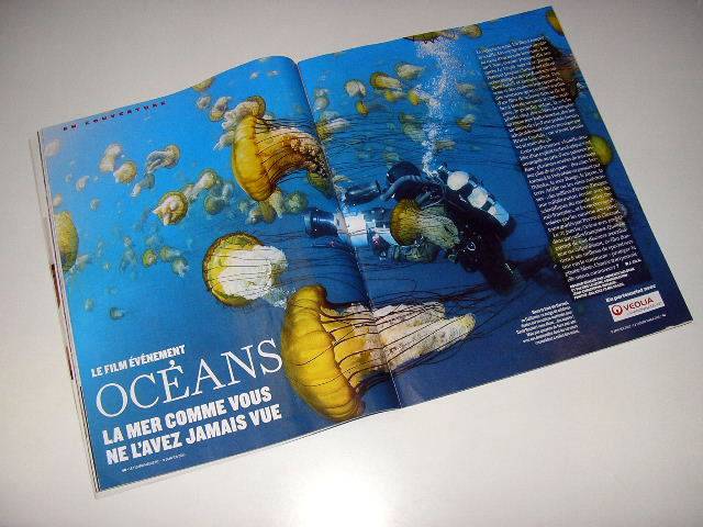 Иллюстрация 18 из 40 для Океаны (DVD+Blu-ray) - Перрен, Клюзо | Лабиринт - . Источник: Валерия
