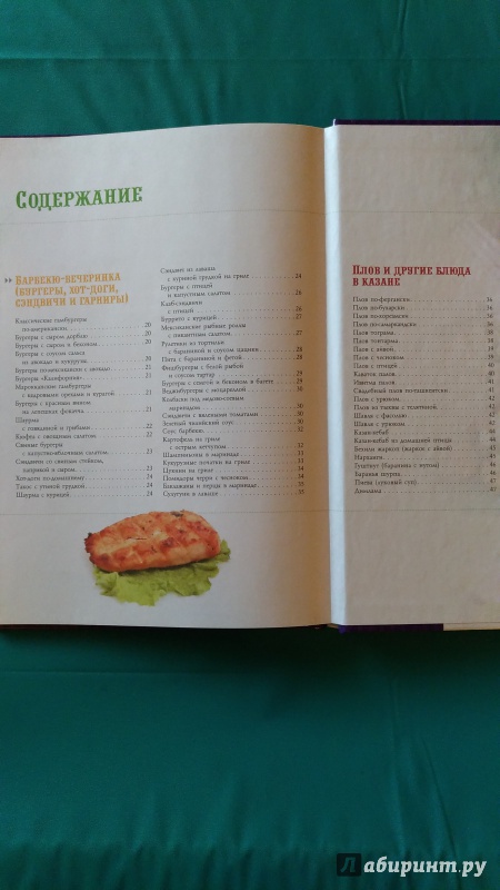 Иллюстрация 4 из 25 для 100 лучших рецептов блюд на гриле и барбекю | Лабиринт - книги. Источник: veler64