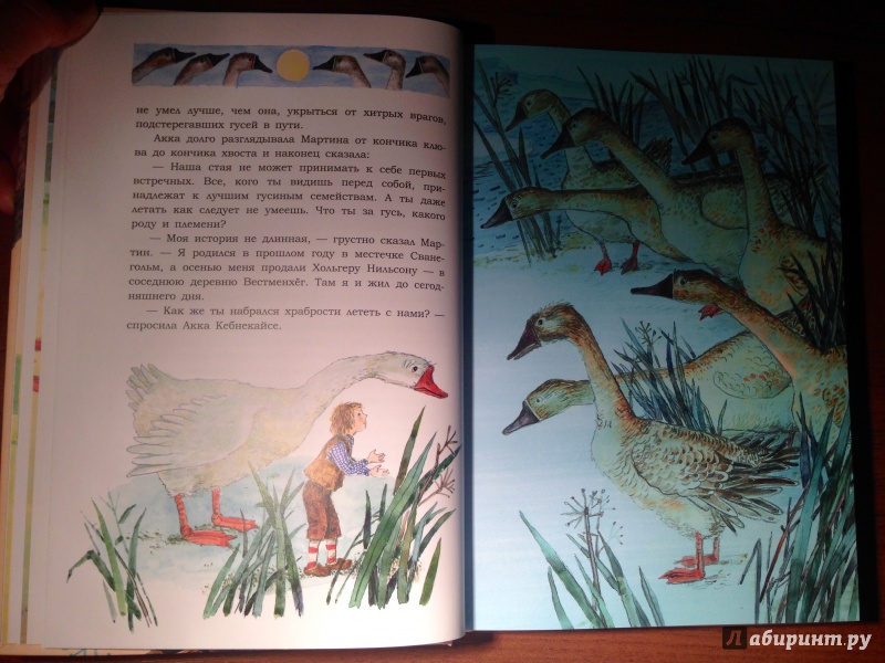 Иллюстрация 10 из 36 для Чудесное путешествие Нильса с дикими гусями - Сельма Лагерлеф | Лабиринт - книги. Источник: Псевдоним