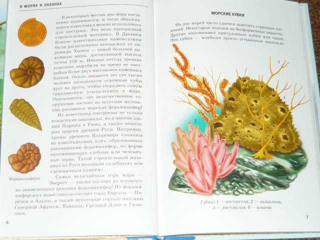 Иллюстрация 2 из 30 для В морях и океанах - Сергей Афонькин | Лабиринт - книги. Источник: Ромашка:-)