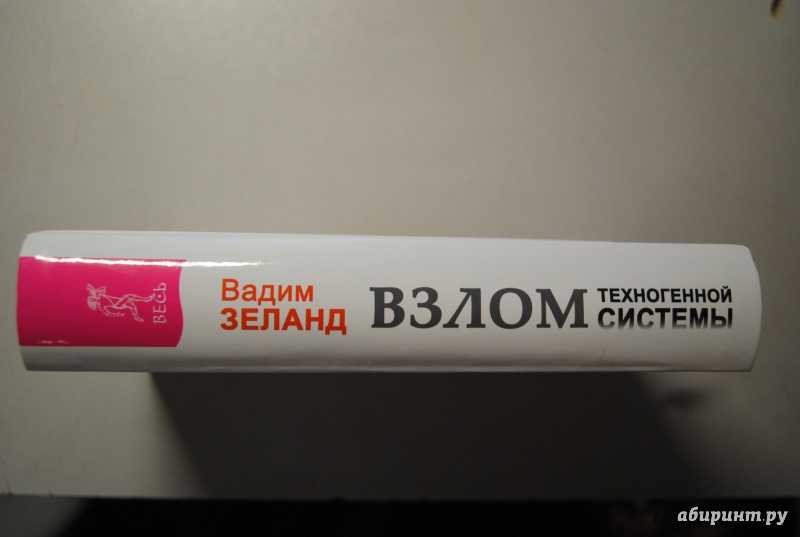 Иллюстрация 17 из 30 для Взлом техногенной системы - Вадим Зеланд | Лабиринт - книги. Источник: Santa74