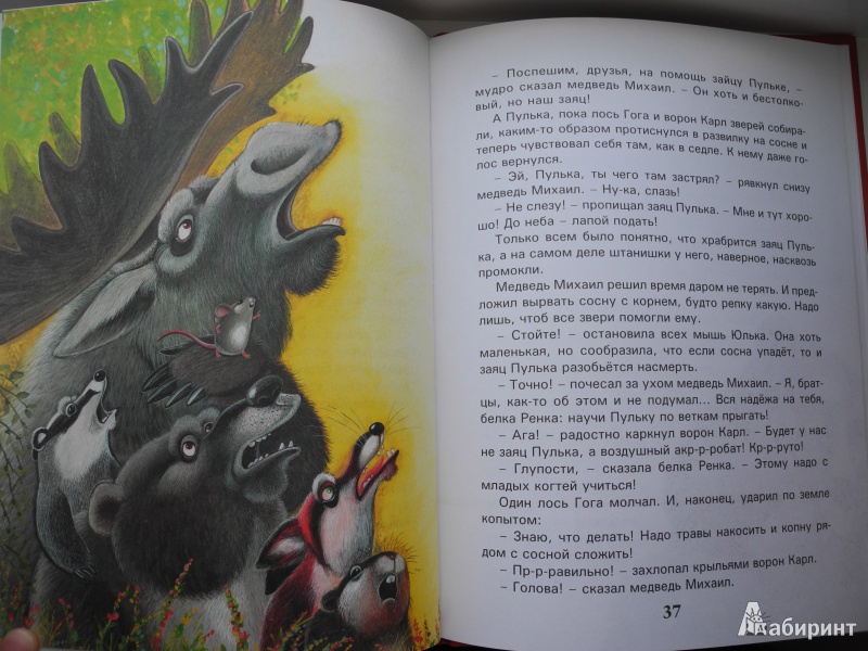 Иллюстрация 8 из 16 для Сказки лесных друзей - Валерий Кастрючин | Лабиринт - книги. Источник: Natena1