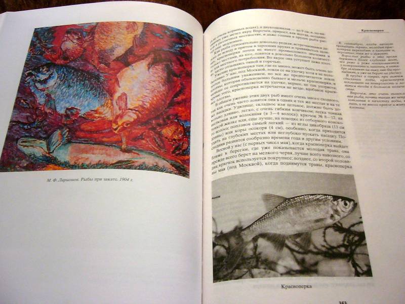 Иллюстрация 25 из 34 для Жизнь и ловля пресноводных рыб - Леонид Сабанеев | Лабиринт - книги. Источник: Nika