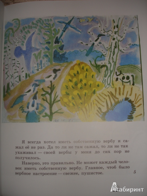 Иллюстрация 67 из 73 для Бабочки - Юрий Коваль | Лабиринт - книги. Источник: Осьминожка