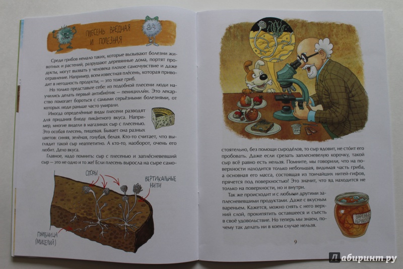Иллюстрация 44 из 68 для Грибное царство - Алена Васнецова | Лабиринт - книги. Источник: По страницам детских книг