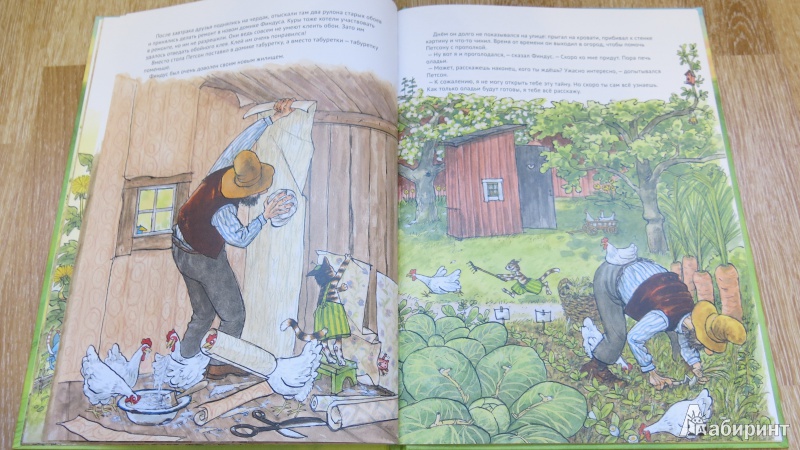 Иллюстрация 23 из 52 для Финдус переезжает - Свен Нурдквист | Лабиринт - книги. Источник: misago