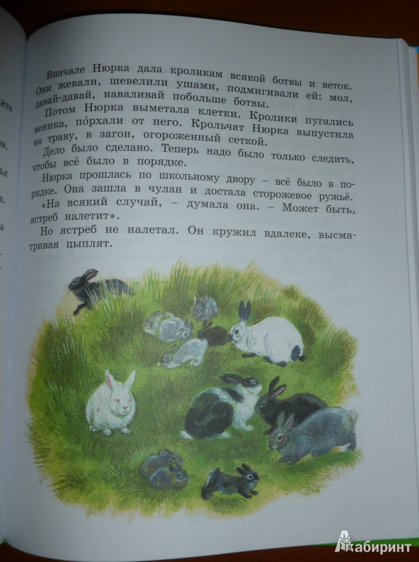 Иллюстрация 38 из 59 для Картофельная собака - Юрий Коваль | Лабиринт - книги. Источник: дева