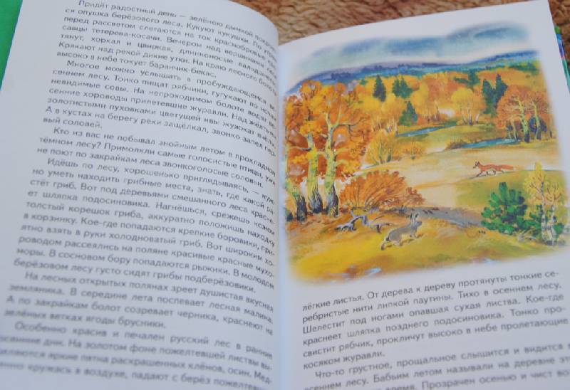 Иллюстрация 23 из 26 для Русский лес - Иван Соколов-Микитов | Лабиринт - книги. Источник: CatT