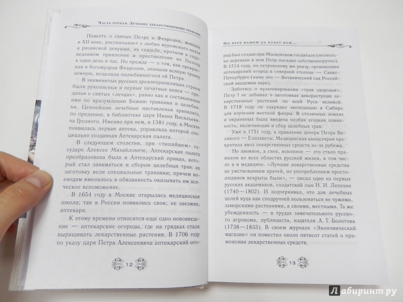 Иллюстрация 10 из 11 для Православный целебник - Владимир Зоберн | Лабиринт - книги. Источник: dbyyb