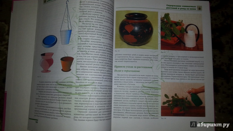 Иллюстрация 2 из 9 для Комнатные растения - Лариса Бурлуцкая | Лабиринт - книги. Источник: Шиндряева  Зоя