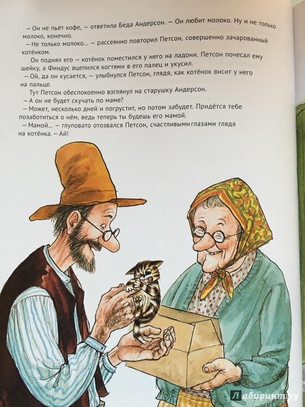 Иллюстрация 57 из 102 для История о том как Финдус потерялся, когда был маленьким - Свен Нурдквист | Лабиринт - книги. Источник: Селиванова  Елизавета