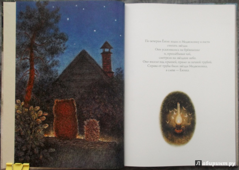 Иллюстрация 5 из 83 для Ежик в тумане - Козлов, Норштейн | Лабиринт - книги. Источник: Агаточка