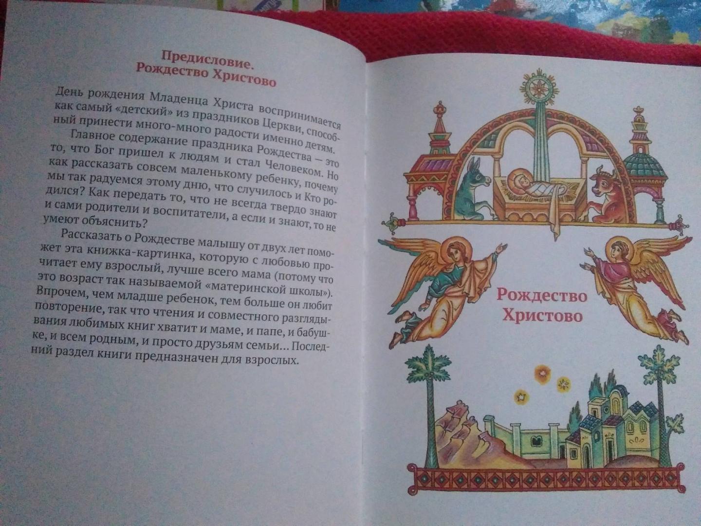 Иллюстрация 29 из 30 для Рождество Христово - Елена Тростникова | Лабиринт - книги. Источник: Irina Vladimirovna