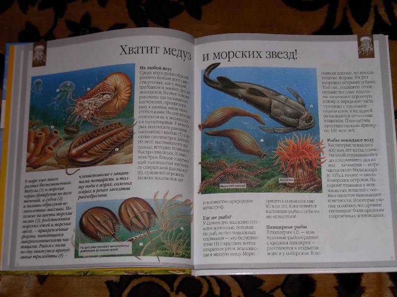 Иллюстрация 6 из 28 для Динозавры и другие исчезнувшие животные - Лора Камбурнак | Лабиринт - книги. Источник: ---Ирина----